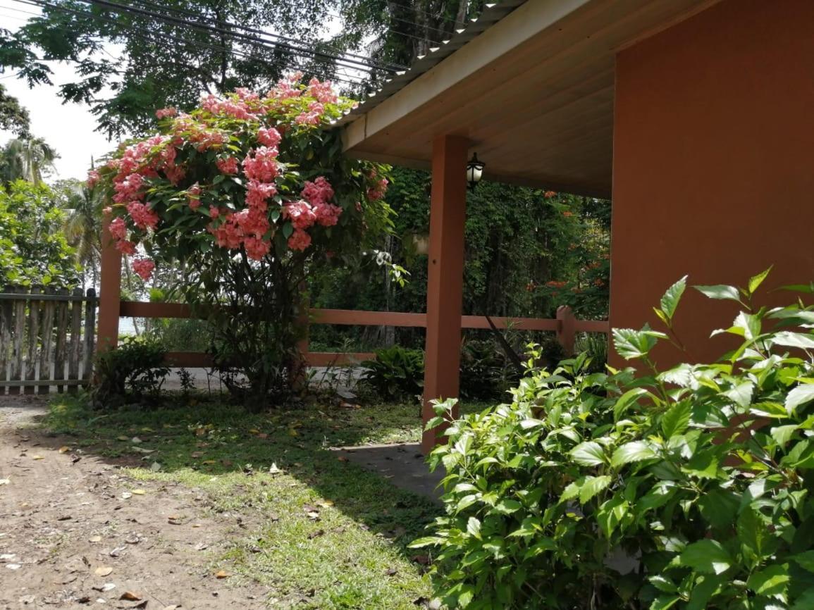 Cahuita Lodge Luaran gambar